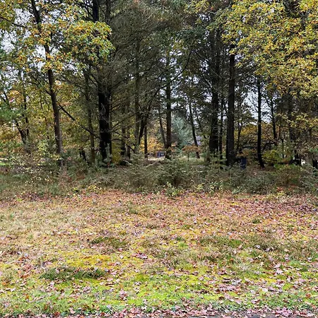 Pet Friendly In Oksbol With Wifi Semesterbostad *